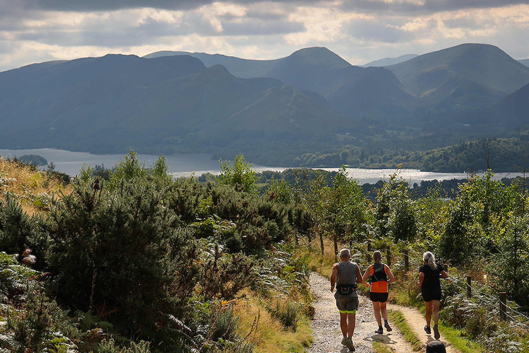Lakeland Trails